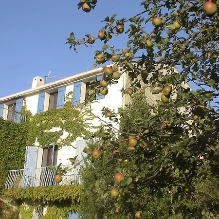 Ferienhaus Fraicheur & Calme En Montagne, 30minutes De La Porto-Vecchio (Corsica)