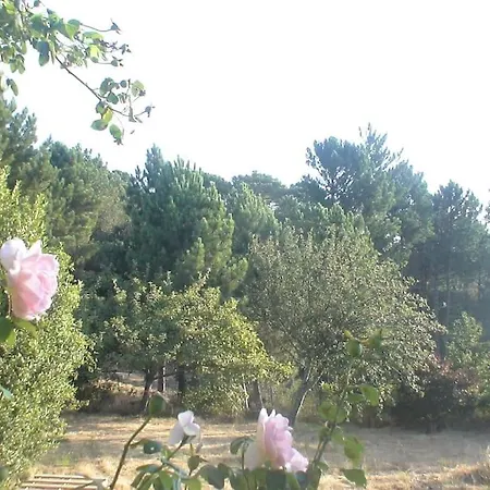 Holiday home Fraicheur & Calme En Montagne, 30minutes De La Porto-Vecchio (Corsica)