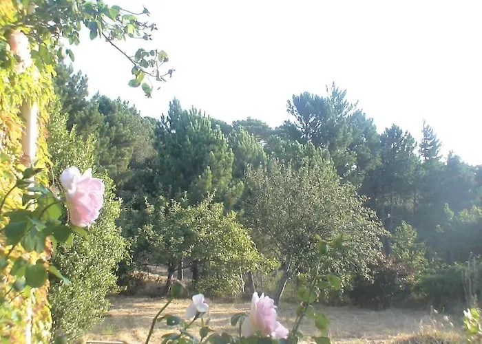 Dom wakacyjny Fraicheur & Calme En Montagne, 30minutes De La Porto-Vecchio (Corsica)