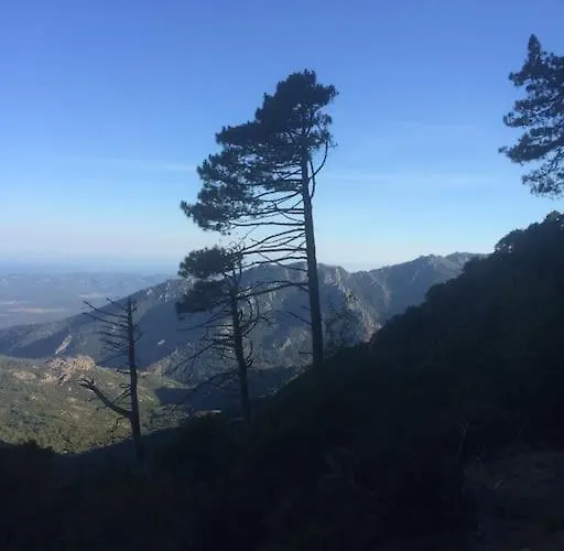 Fraicheur & Calme En Montagne, 30minutes De La * Porto-Vecchio (Corsica)